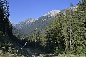 Bansko