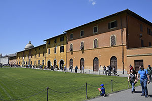 Pisa