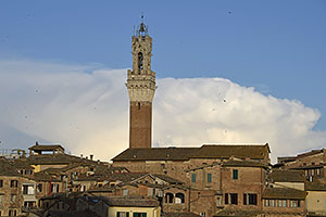 Siena