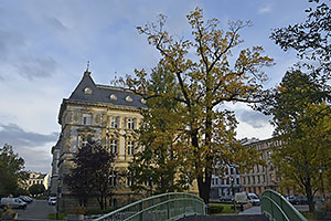 Bielsko-Biała