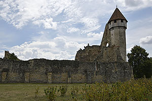 Cârța