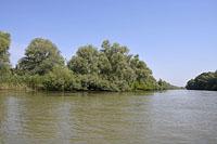 Delta Dunaja