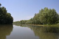Delta Dunaja