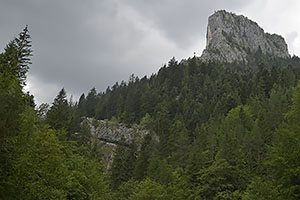 Bicaz