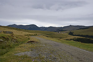 Transalpina, DN67C