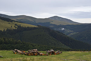 Transalpina, DN67C