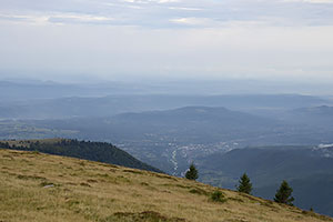 Transalpina, DN67C