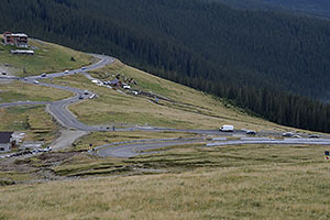 Transalpina, DN67C