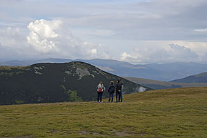 Transalpina, DN67C