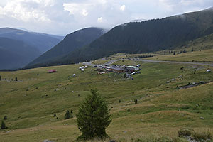 Transalpina, DN67C