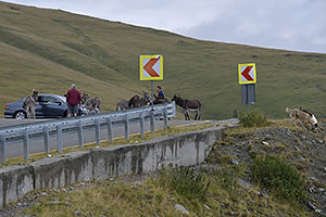 Transalpina, DN67C