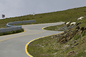 Transalpina, DN67C