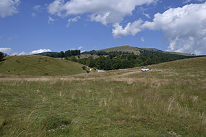 Transalpina, DN67C