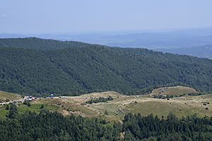 Transalpina, DN67C