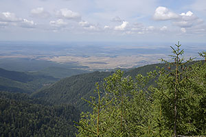 Transfăgărășan