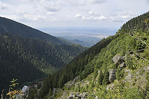 Transfăgărășan