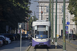 Timisoara