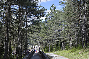 Sarajevo: bobová dráha, zimné olympijské hry 1984, 28.4.2024 Sarajevo