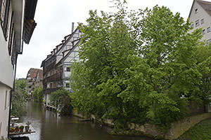 Ulm