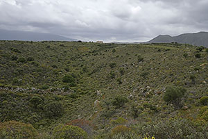 Kreta