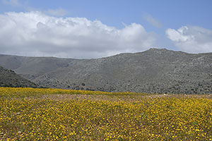 Kreta
