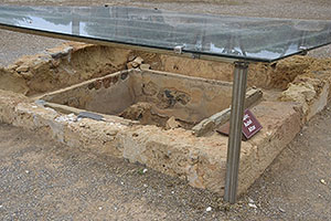 Malia