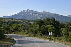 Cetina