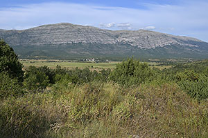 Cetina