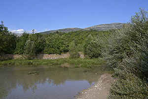 Cetina