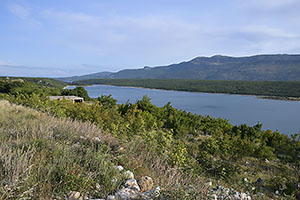 Cetina