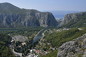 Omis