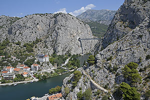 Omis
