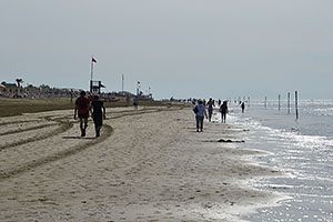 Bibione