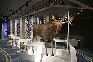 Oslo