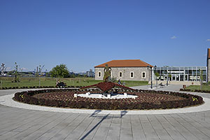 Kladovo