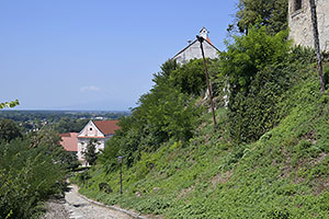Ptuj